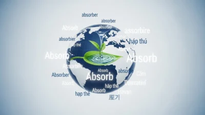 Absorb in Different Languages