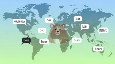 Bear in Different Languages