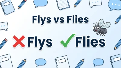 Flys vs Flies